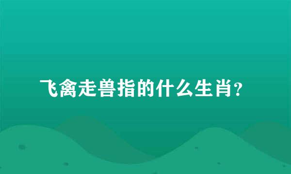 飞禽走兽指的什么生肖？