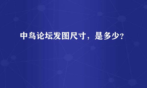 中鸟论坛发图尺寸，是多少？