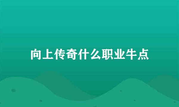 向上传奇什么职业牛点