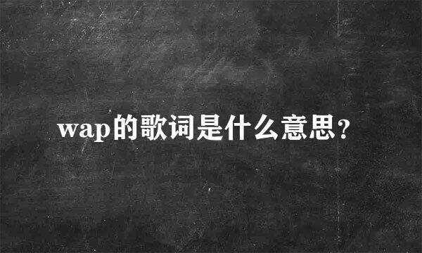 wap的歌词是什么意思？