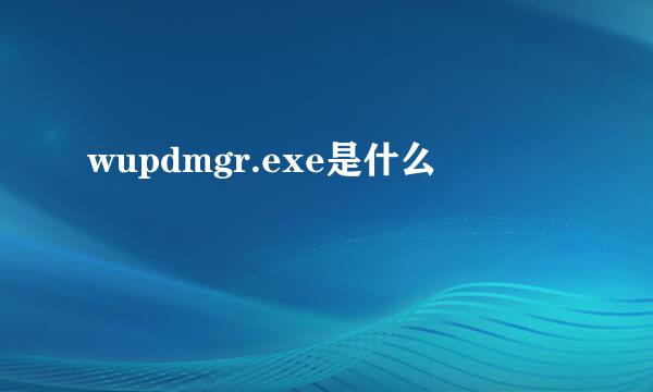 wupdmgr.exe是什么