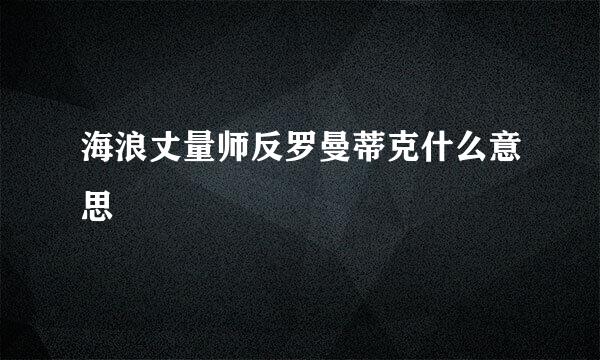 海浪丈量师反罗曼蒂克什么意思