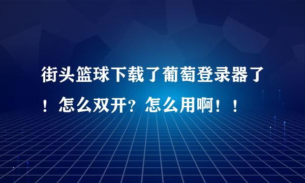 街头篮球下载了葡萄登录器了！怎么双开？怎么用啊！！