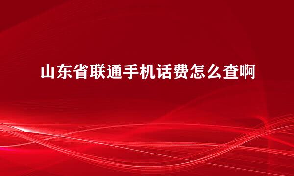 山东省联通手机话费怎么查啊