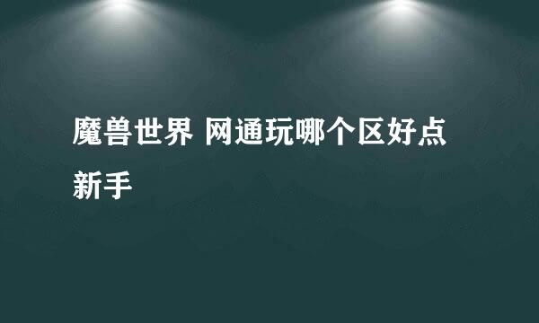 魔兽世界 网通玩哪个区好点 新手