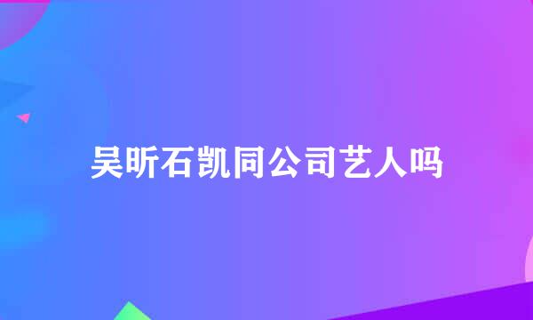 吴昕石凯同公司艺人吗