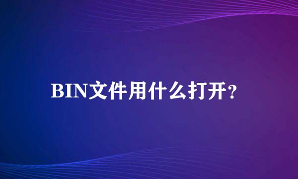 BIN文件用什么打开？