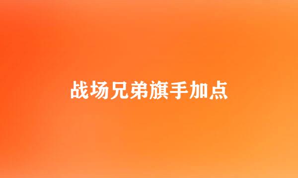 战场兄弟旗手加点