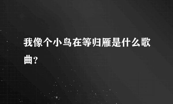 我像个小鸟在等归雁是什么歌曲？