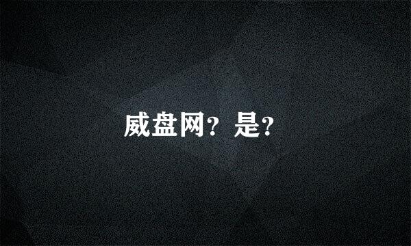 威盘网？是？