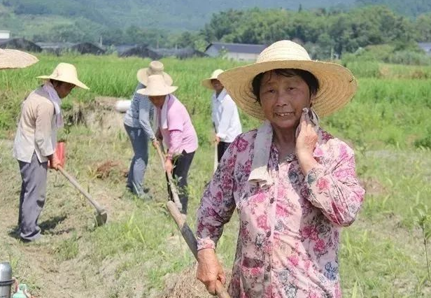 但惜夏日长，且等清风来什么意思