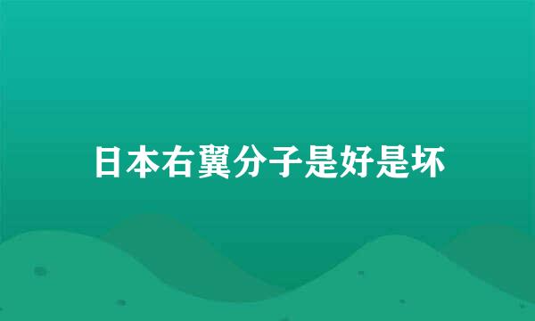 日本右翼分子是好是坏