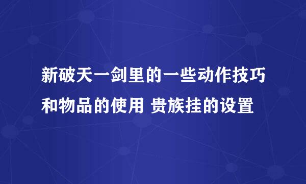 新破天一剑里的一些动作技巧和物品的使用 贵族挂的设置