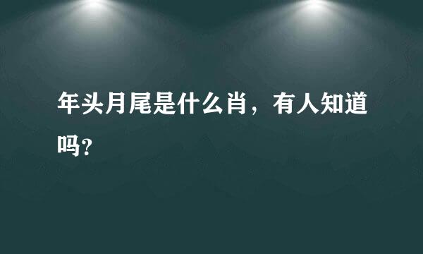 年头月尾是什么肖，有人知道吗？