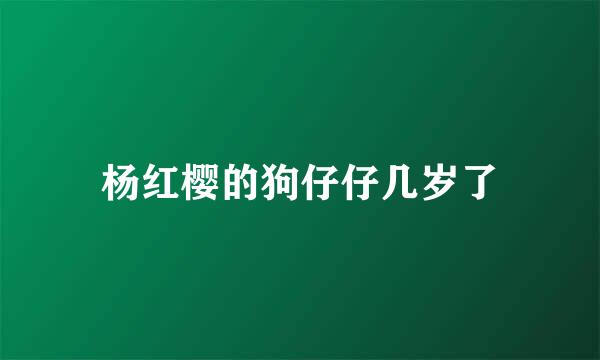 杨红樱的狗仔仔几岁了