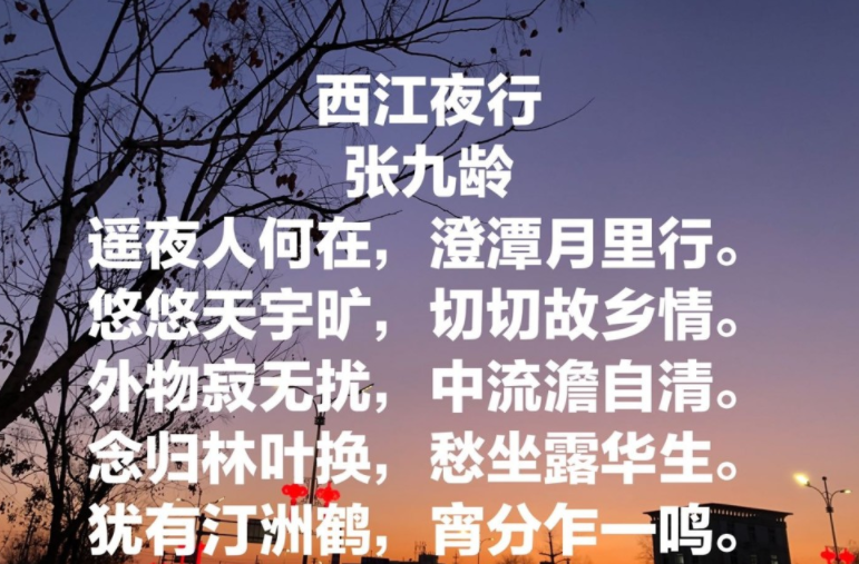 悠悠天宇旷,切切故乡情的意思是什么？