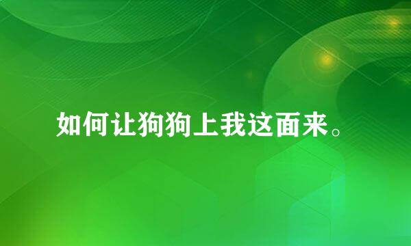 如何让狗狗上我这面来。