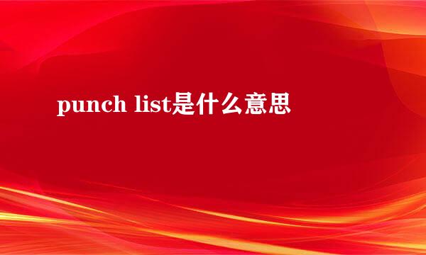 punch list是什么意思