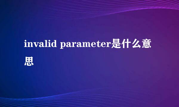 invalid parameter是什么意思