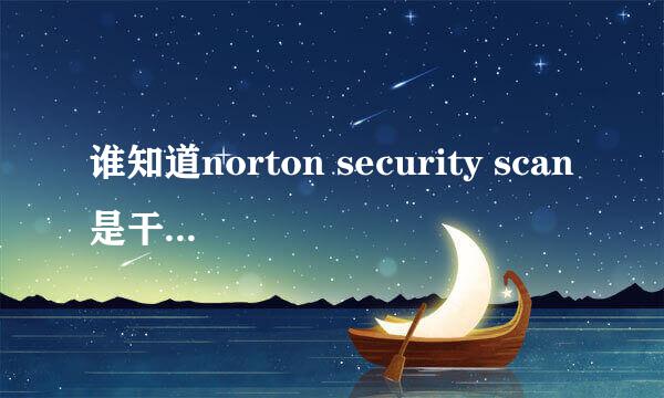 谁知道norton security scan是干什么的?