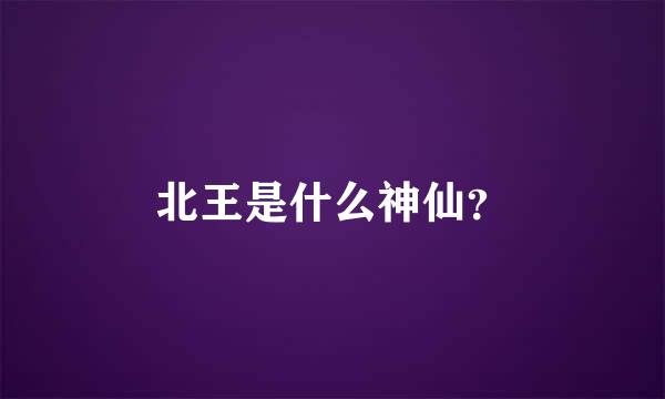 北王是什么神仙？