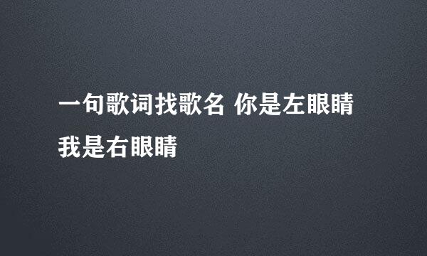 一句歌词找歌名 你是左眼睛 我是右眼睛