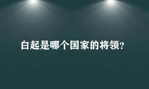 白起是哪个国家的将领？