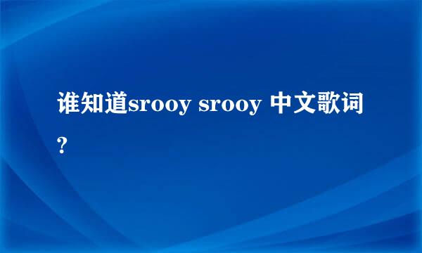 谁知道srooy srooy 中文歌词?