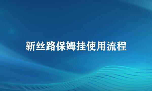 新丝路保姆挂使用流程