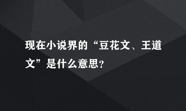 现在小说界的“豆花文、王道文”是什么意思？