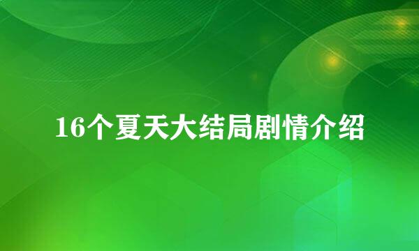 16个夏天大结局剧情介绍