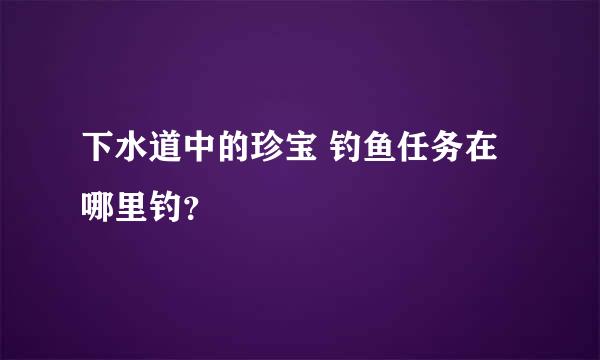 下水道中的珍宝 钓鱼任务在哪里钓？