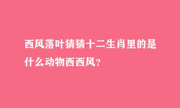 西风落叶猜猜十二生肖里的是什么动物西西风？