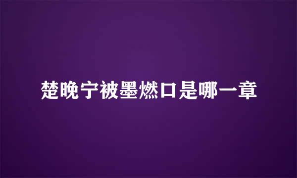 楚晚宁被墨燃口是哪一章