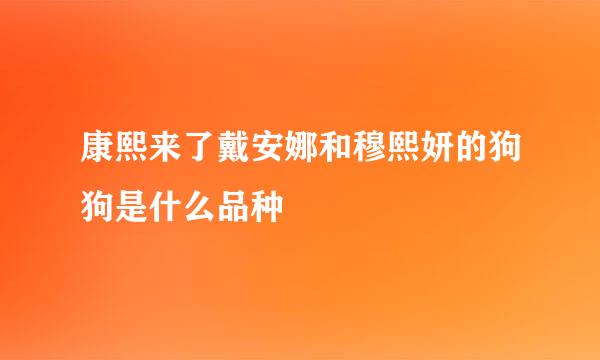 康熙来了戴安娜和穆熙妍的狗狗是什么品种