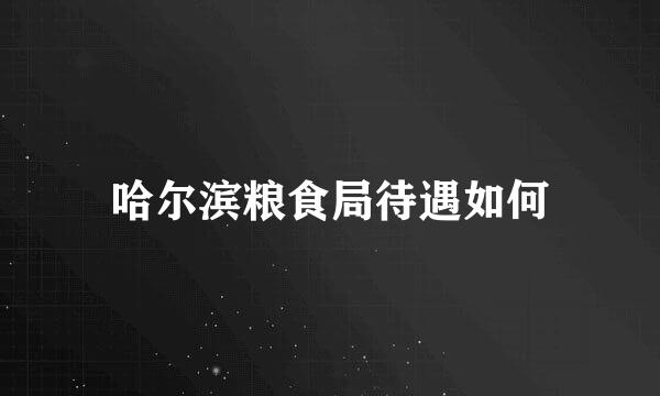 哈尔滨粮食局待遇如何