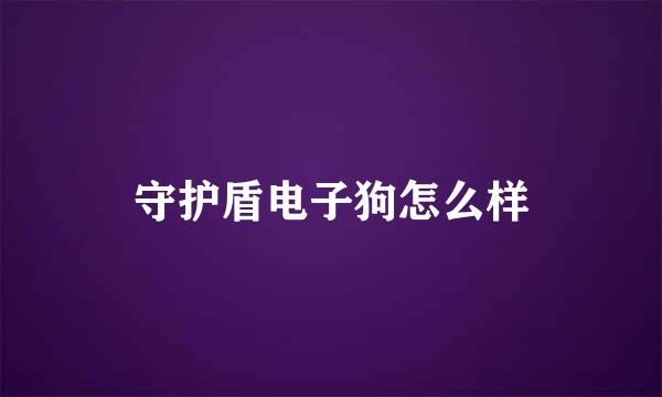 守护盾电子狗怎么样