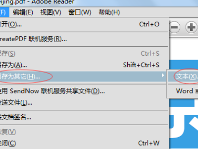 Apabi Reader 4.0这个下好后怎么转换成word啊