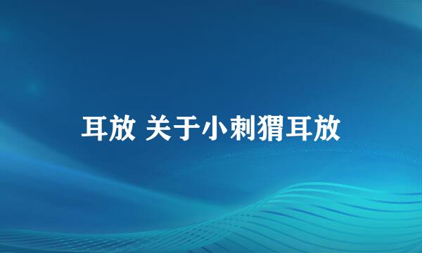 耳放 关于小刺猬耳放