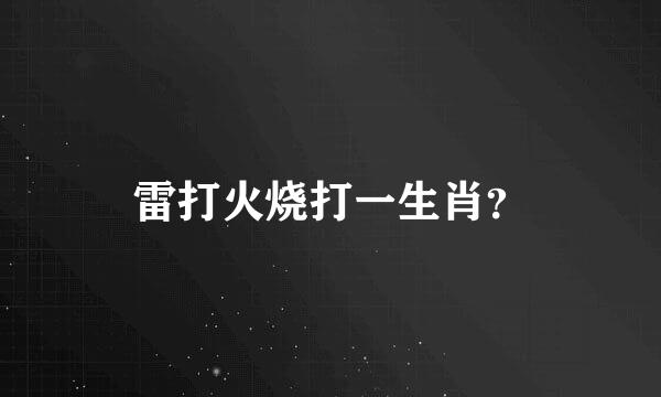 雷打火烧打一生肖？