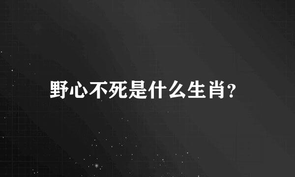 野心不死是什么生肖？