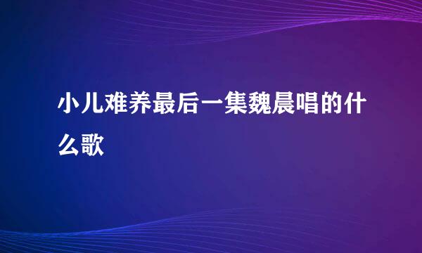 小儿难养最后一集魏晨唱的什么歌