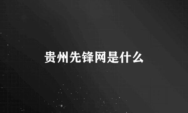 贵州先锋网是什么