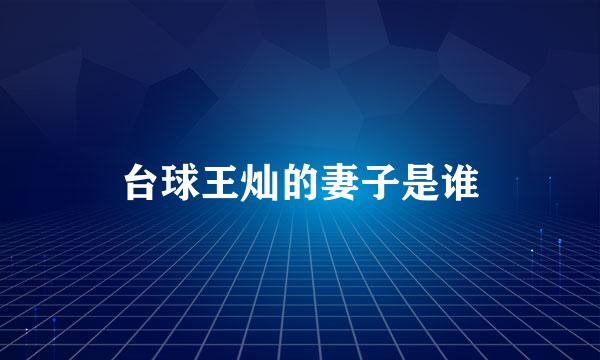 台球王灿的妻子是谁