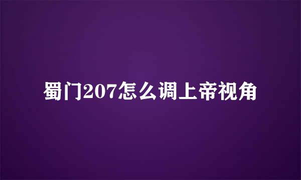 蜀门207怎么调上帝视角