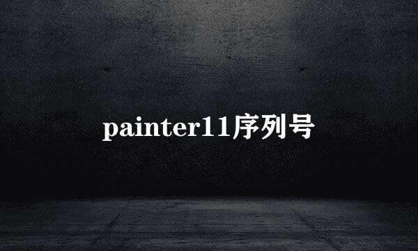 painter11序列号