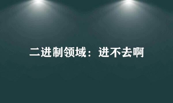 二进制领域：进不去啊