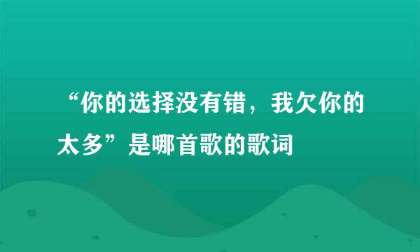 “你的选择没有错，我欠你的太多”是哪首歌的歌词