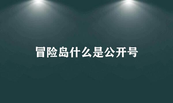 冒险岛什么是公开号