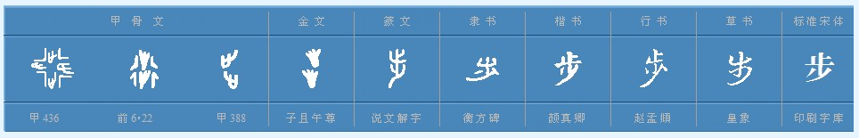 “步”字部首是什么？